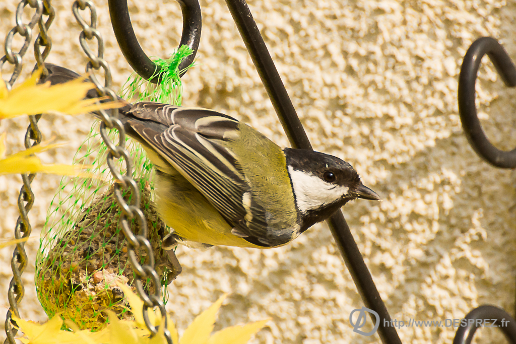 2014-02-24-DSC-04660