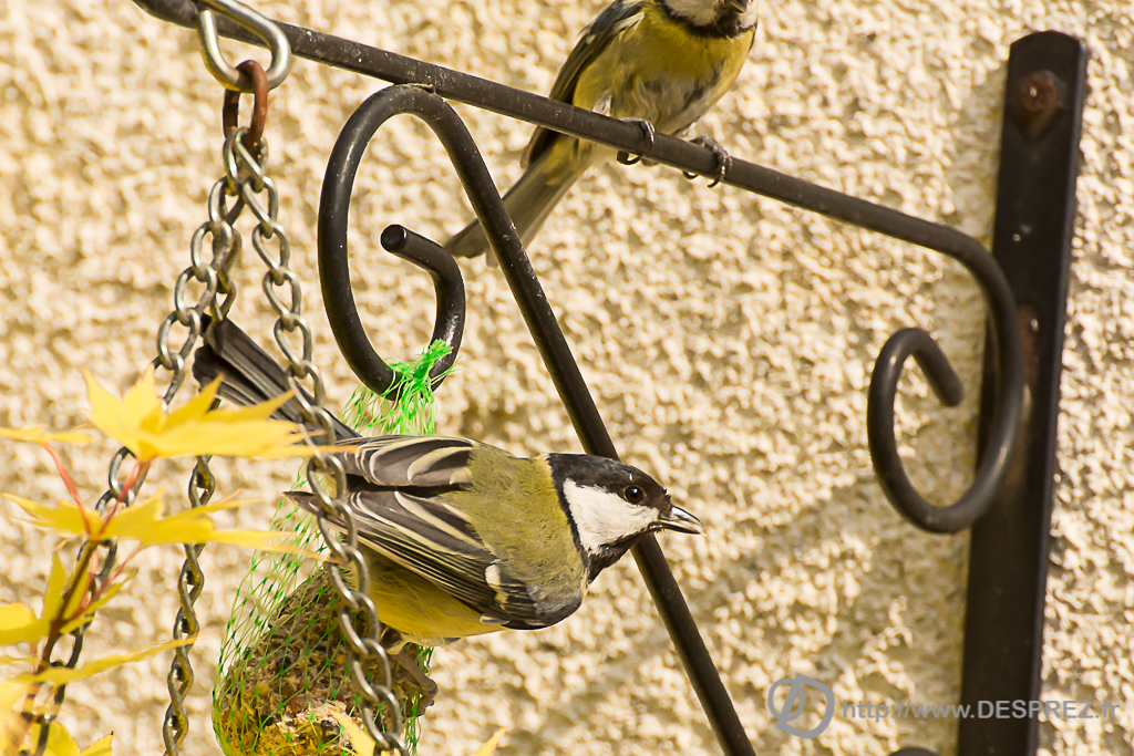 2014-02-24-DSC-04662