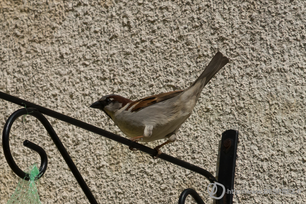 2014-02-24-DSC-01481