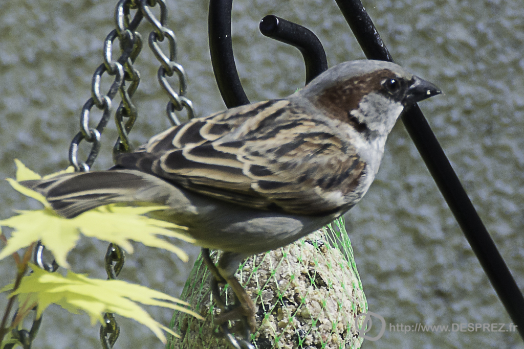 2014-02-24-DSC-04558