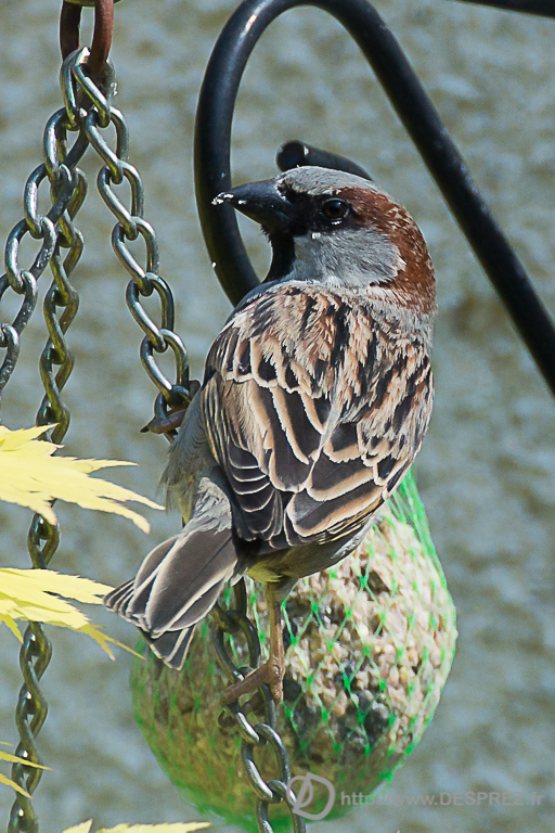 2014-02-24-DSC-04559