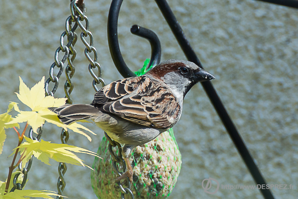 2014-02-24-DSC-04560