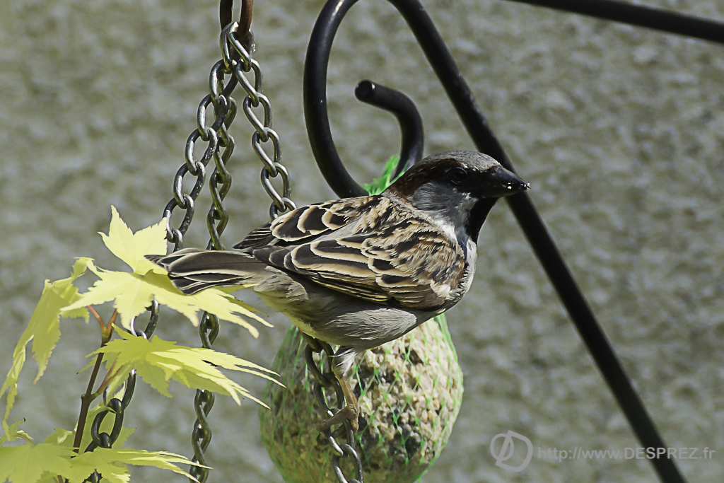 2014-02-24-DSC-04562