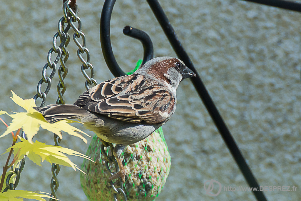 2014-02-24-DSC-04565