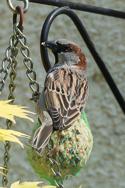 2014-02-24-DSC-04568