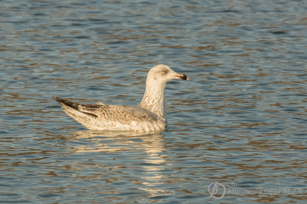 2014-02-24-DSC-04284