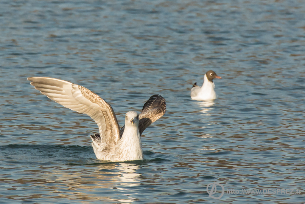 2014-02-24-DSC-04285