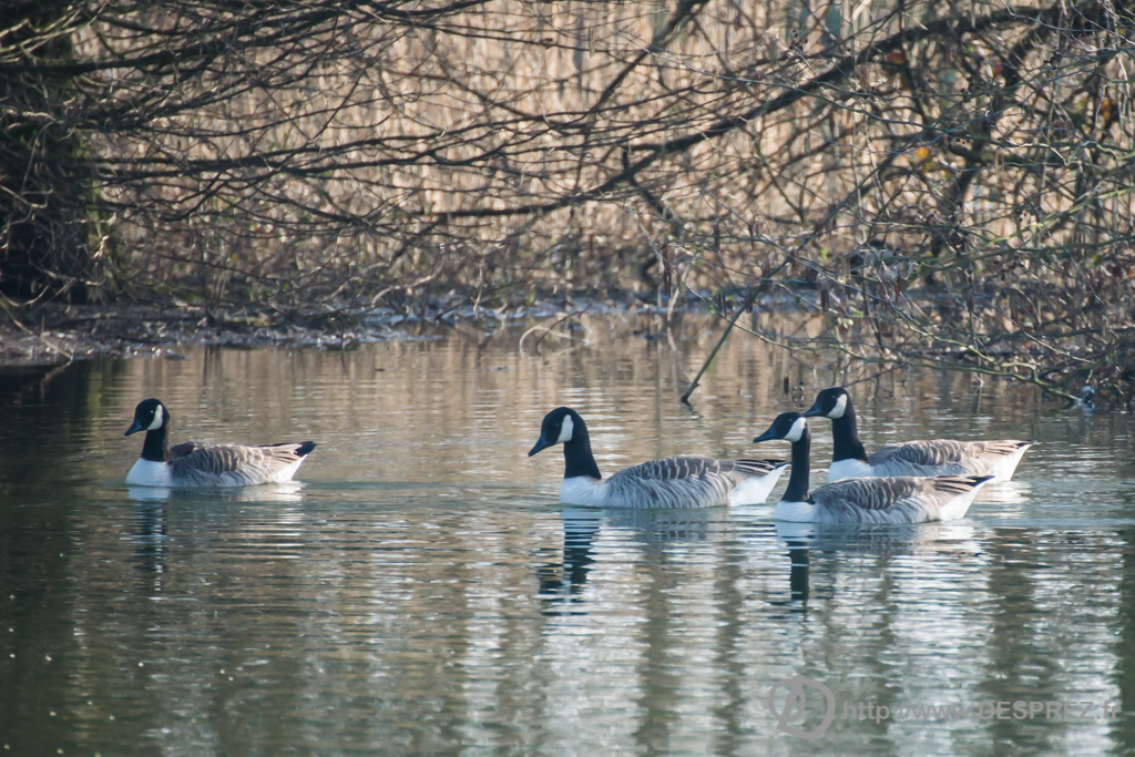 2014-02-24-DSC-04196