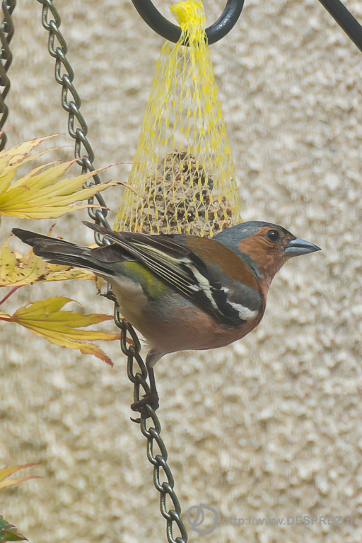 2014-02-24-DSC-00130