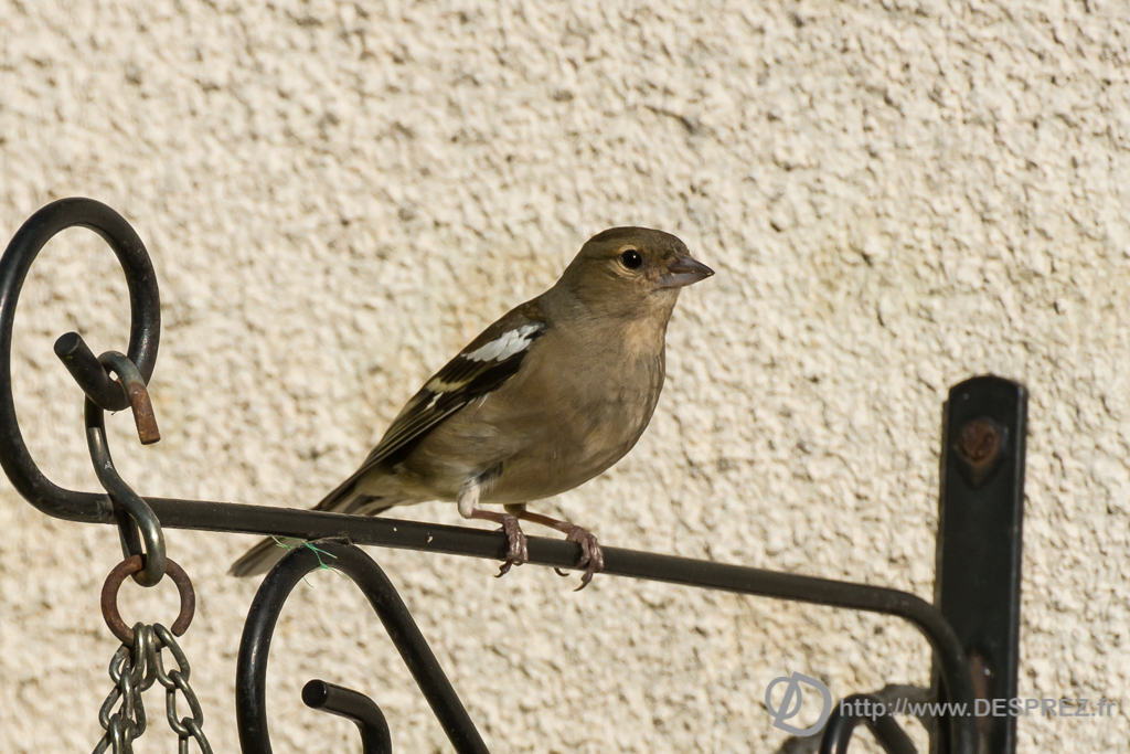 2014-02-24-DSC-01467