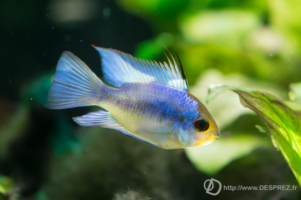 2014-02-24-DSC-00493