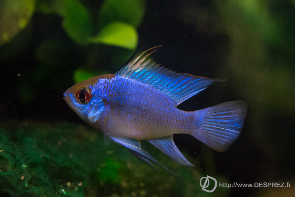 2014-02-24-DSC-00582