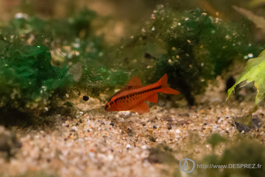 2014-02-24-DSC-00578