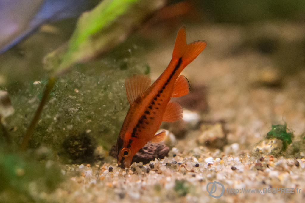 2014-02-24-DSC-00586