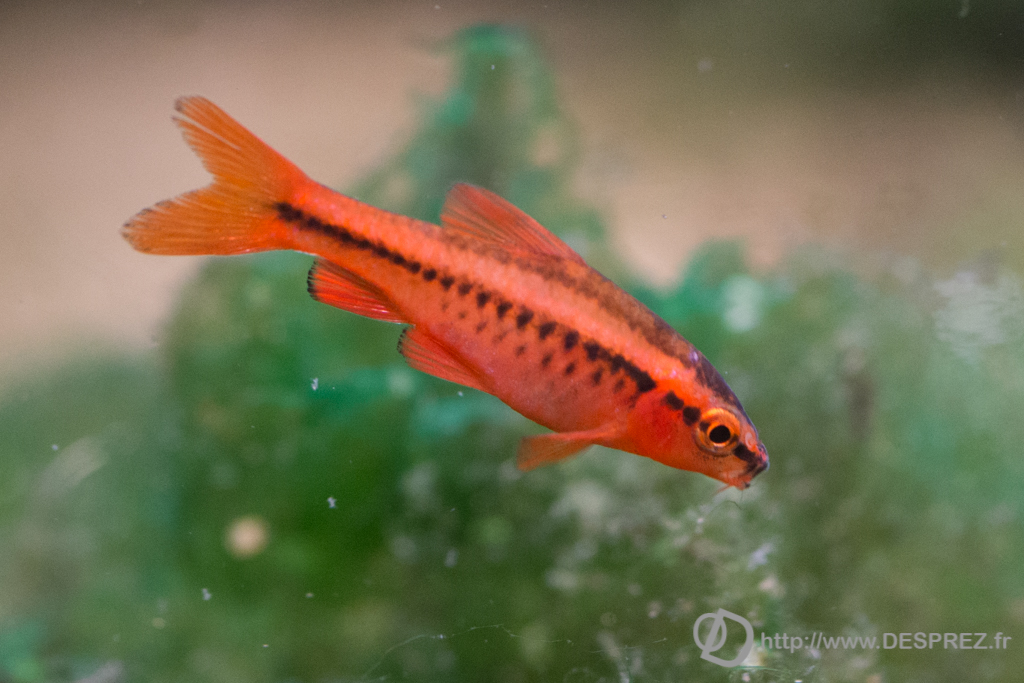 2014-02-24-DSC-00604