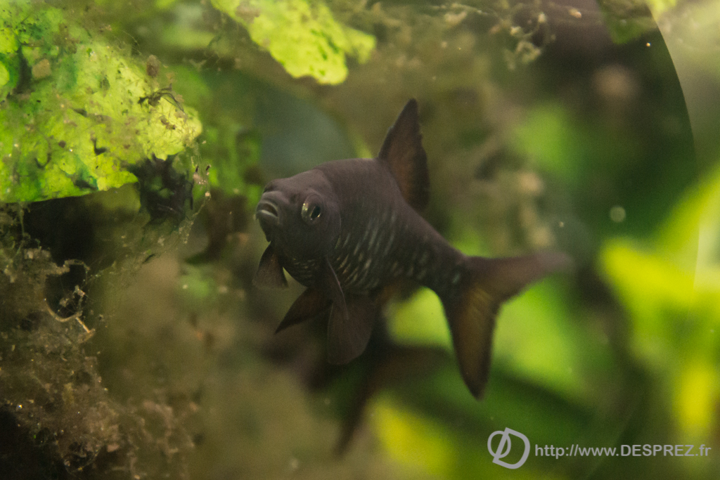 2014-02-24-DSC-04107