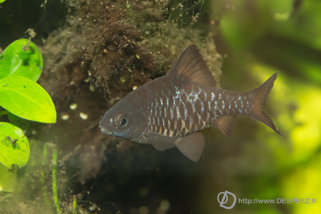 2014-02-24-DSC-04118