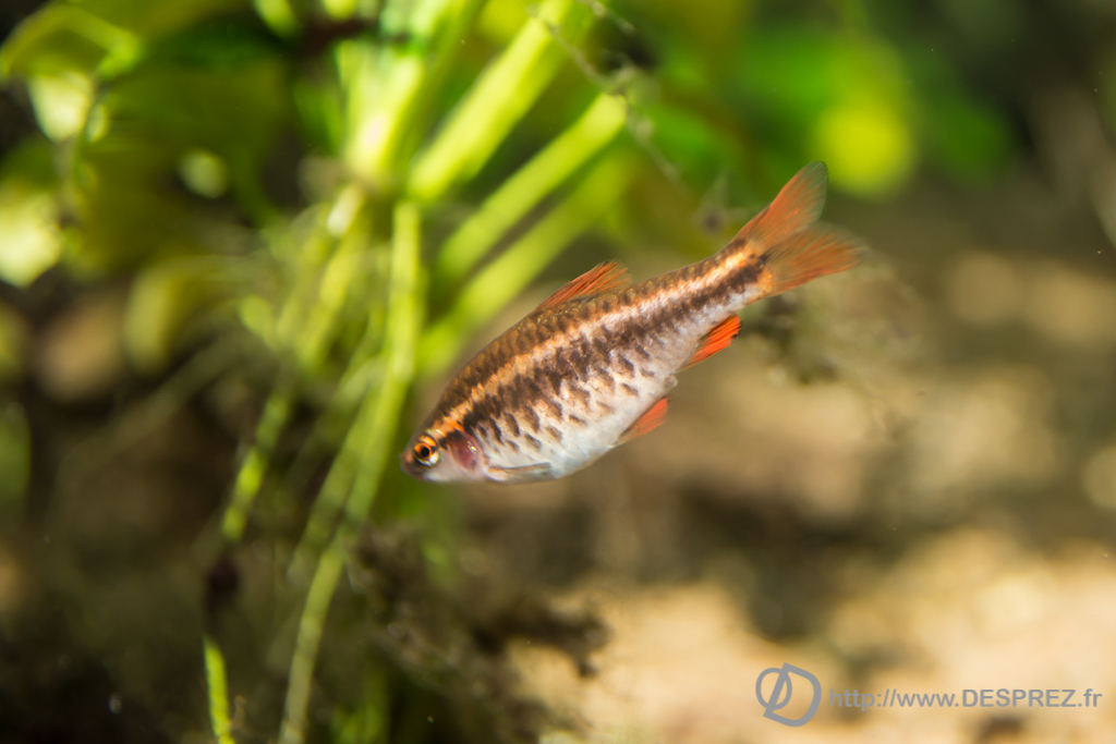 2014-02-24-DSC-04124