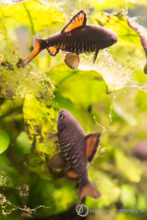 2014-02-24-DSC-04143