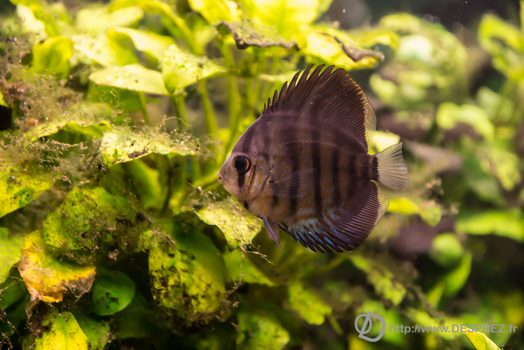 2014-02-24-DSC-04076