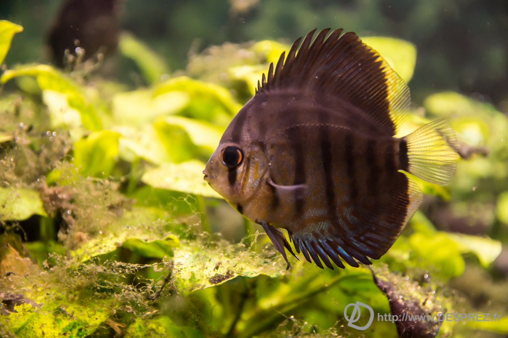 2014-02-24-DSC-04077