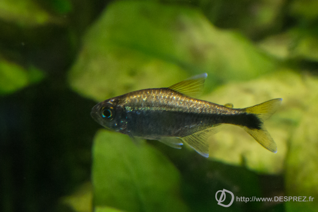 2014-02-24-DSC-00696