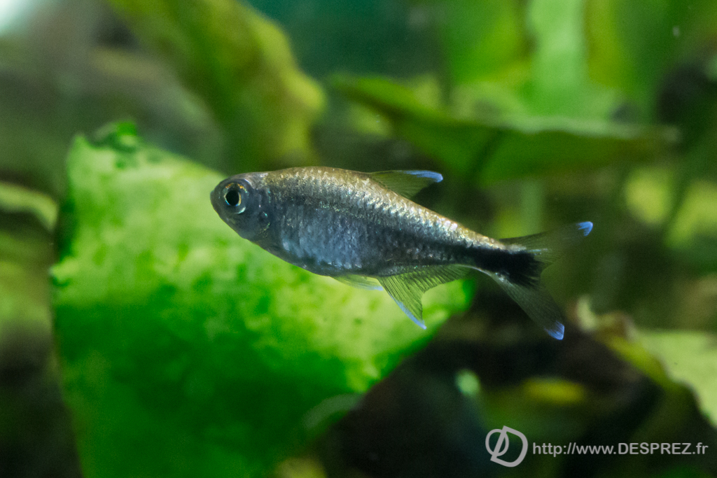 2014-02-24-DSC-00698