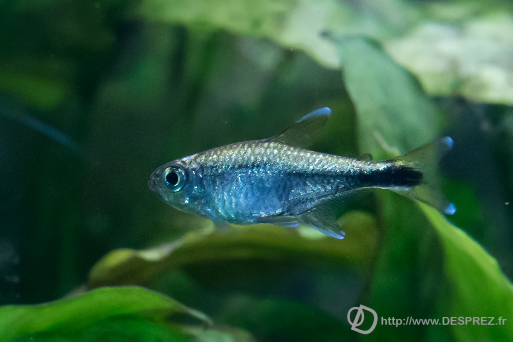 2014-02-24-DSC-00708