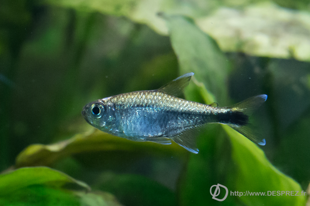 2014-02-24-DSC-00709