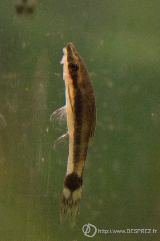 2014-02-24-DSC-00632