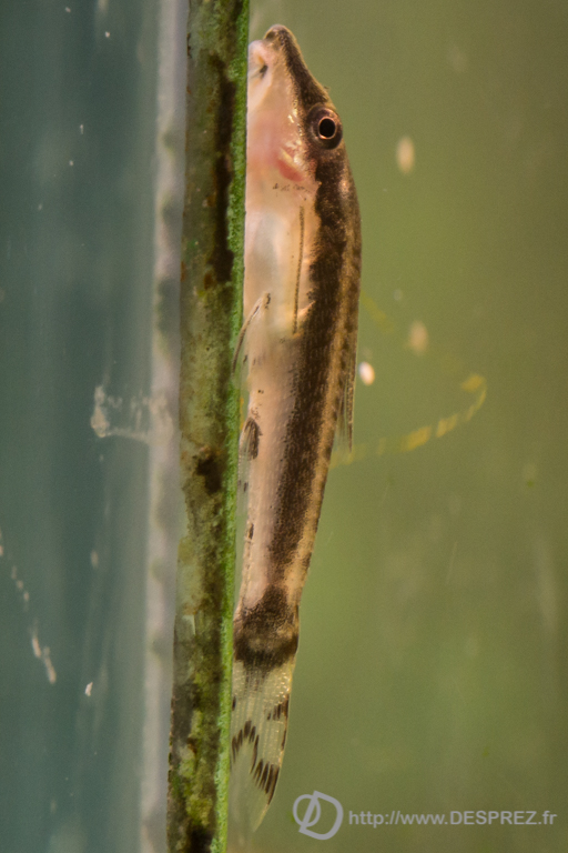 2014-02-24-DSC-00635