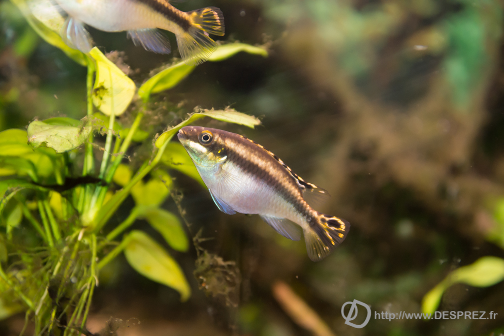 2014-02-24-DSC-04111