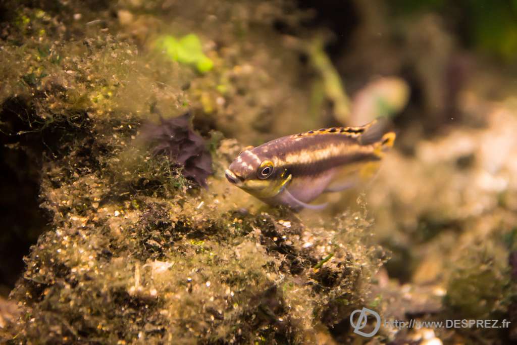 2014-02-24-DSC-04140