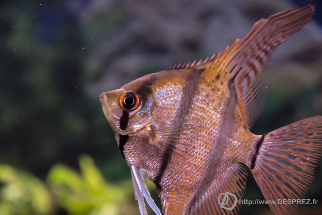 2014-02-24-DSC-04065