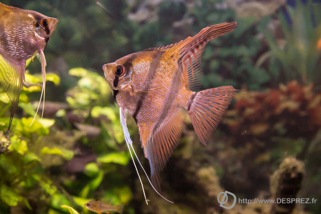 2014-02-24-DSC-04066