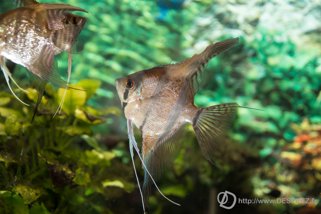 2014-02-24-DSC-04069