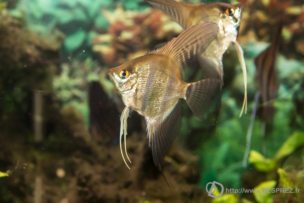 2014-02-24-DSC-04072