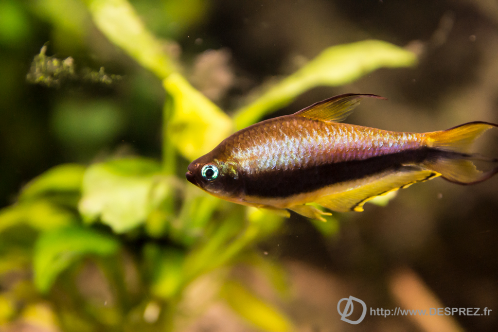 2014-02-24-DSC-04081