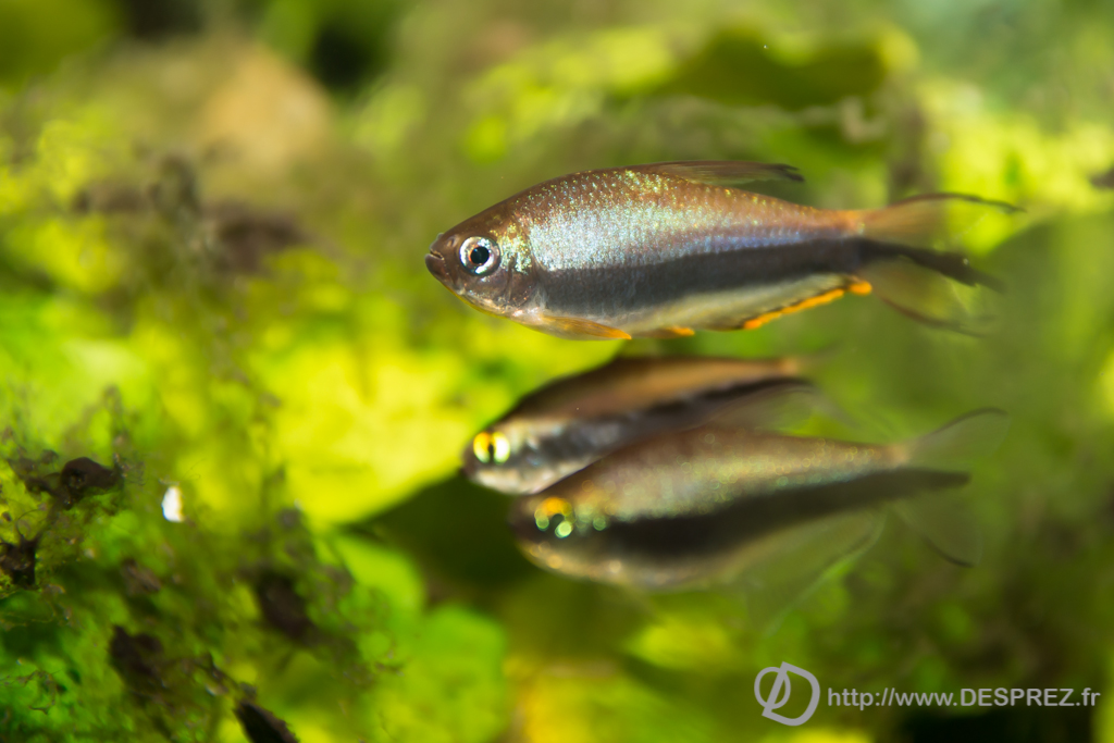 2014-02-24-DSC-04130