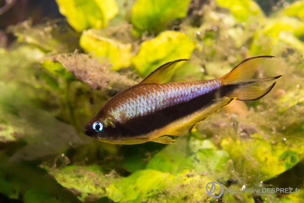 2014-02-24-DSC-04141