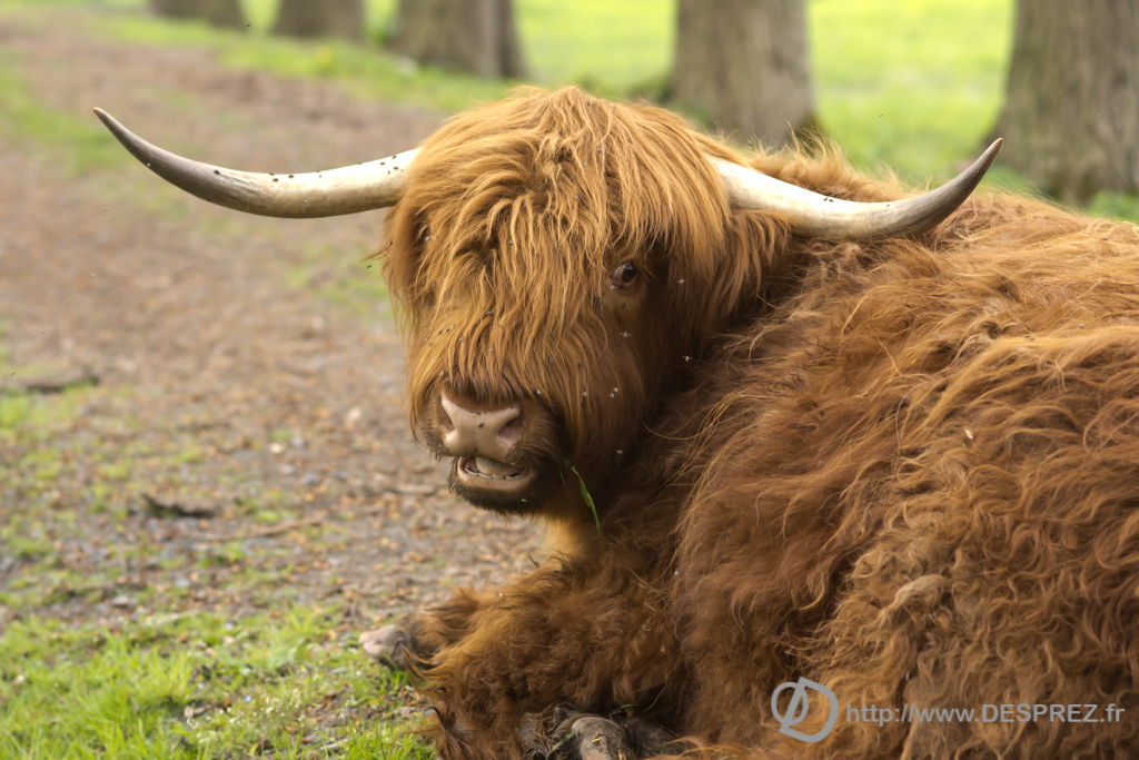 2013-10-02-DSC-02291