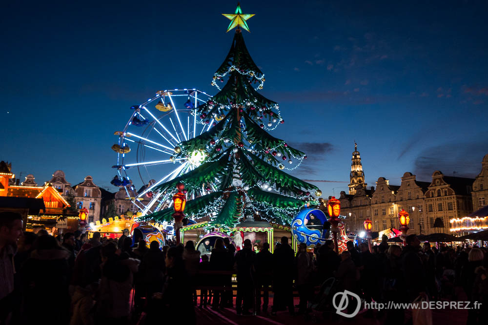 11 decembre 2016DSC01407