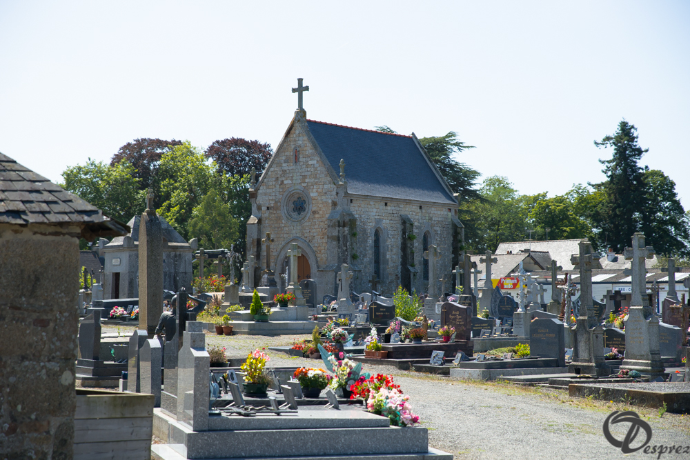 2019-aout-22-DSC08383