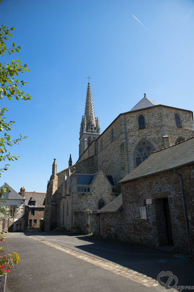 2019-aout-22-DSC08384