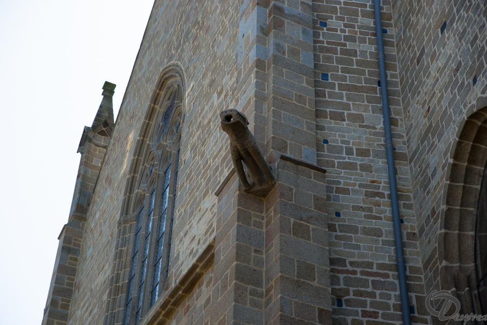 2019-aout-22-DSC08386