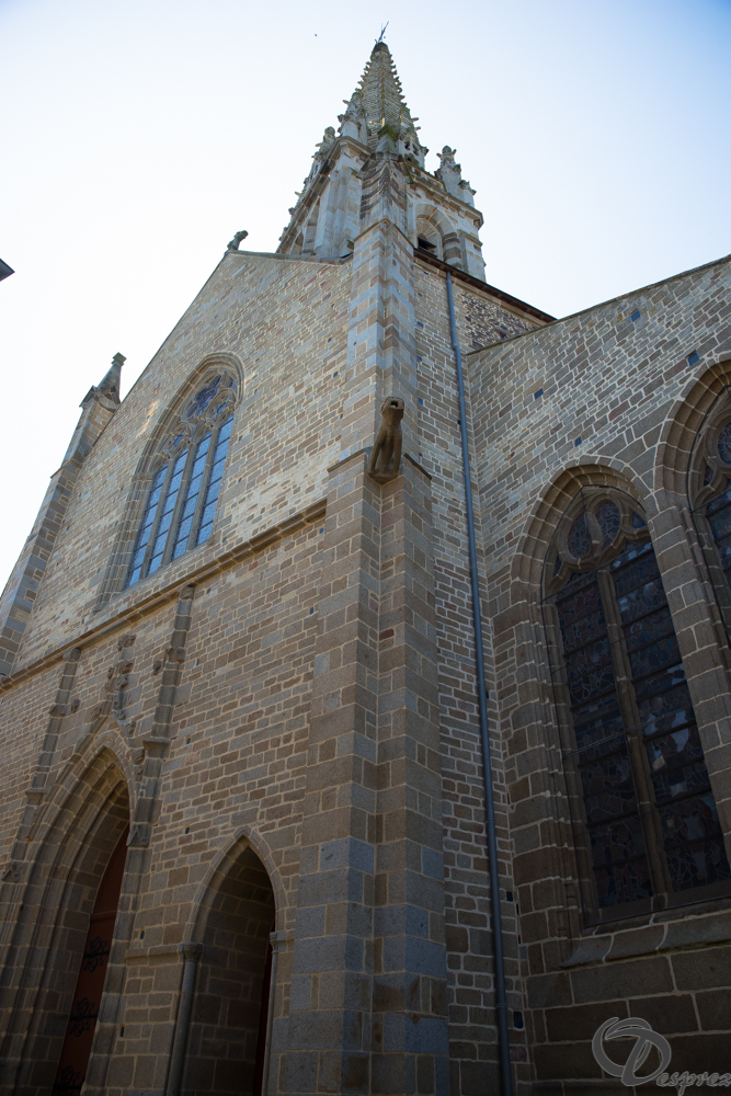 2019-aout-22-DSC08387