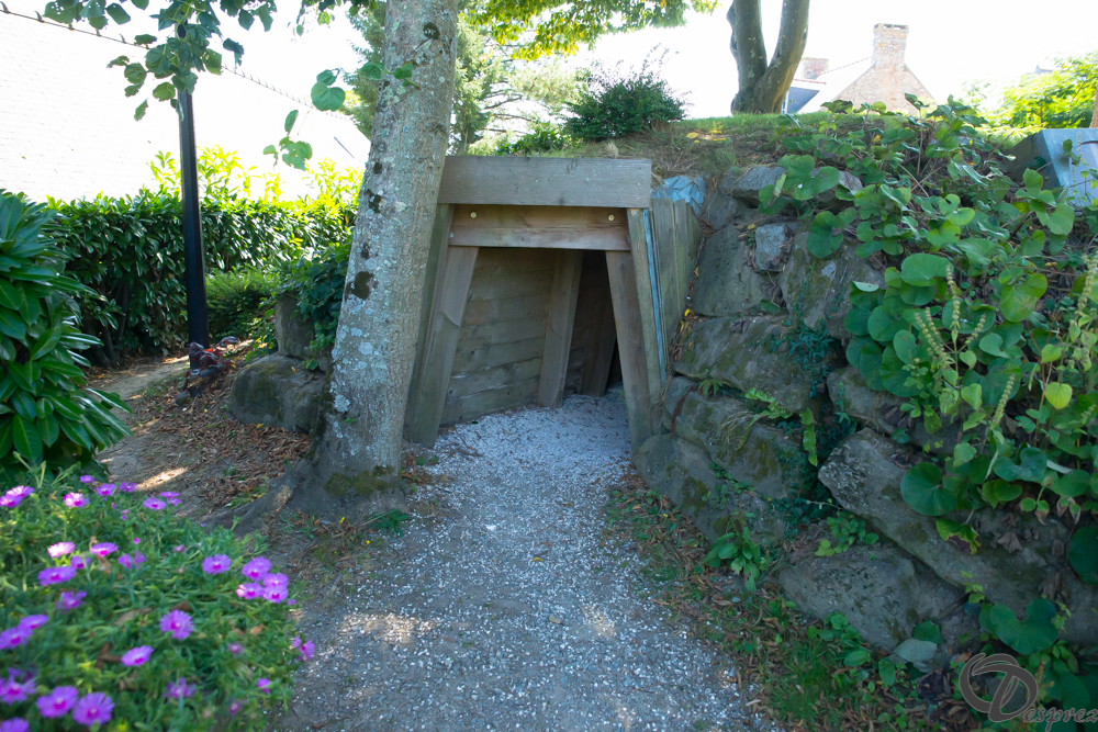 2019-aout-22-DSC08388