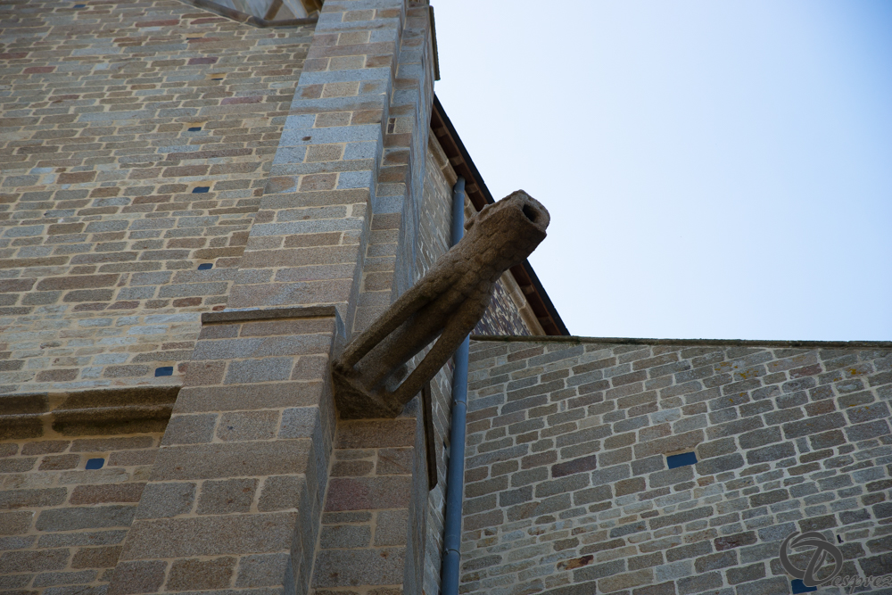 2019-aout-22-DSC08389