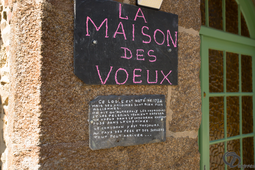 2019-aout-22-DSC08394