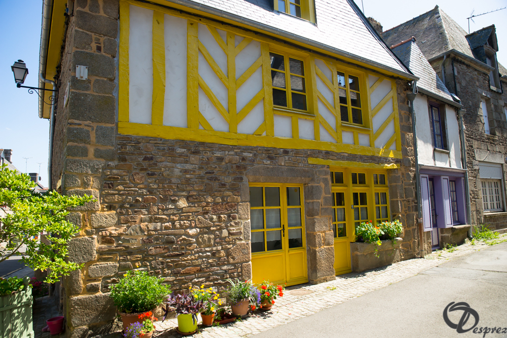 2019-aout-22-DSC08396